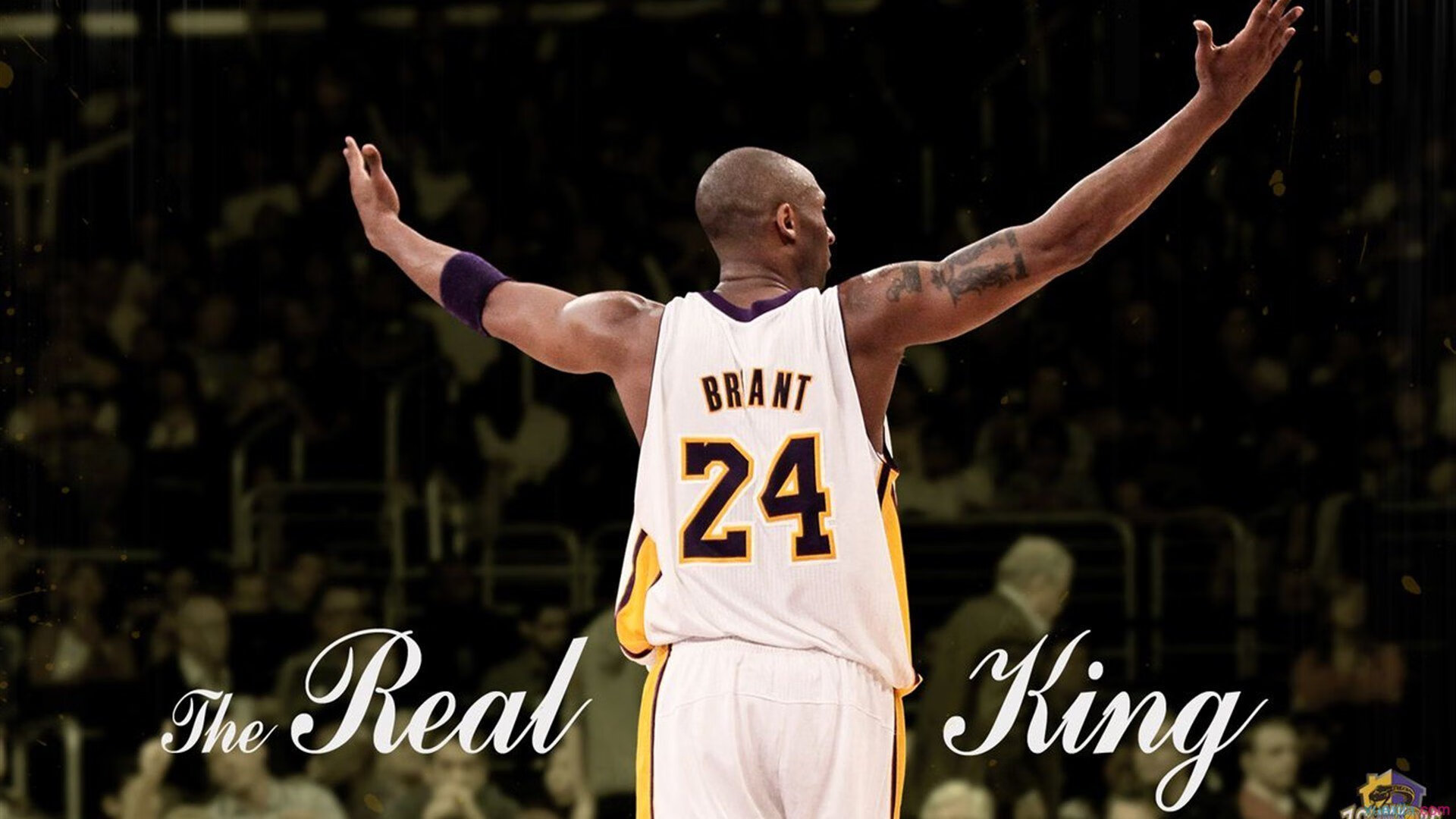 体育新闻中心更新官方LOGO及视觉识别系统，体育新闻网址大全